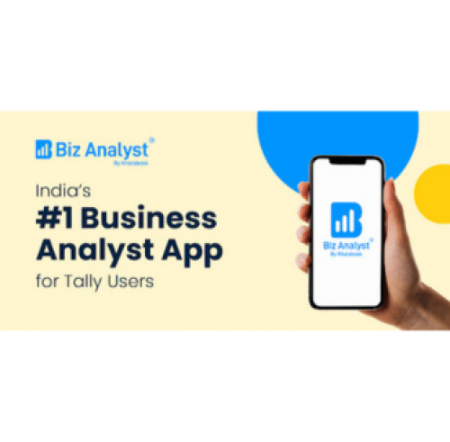 Biz Analyst